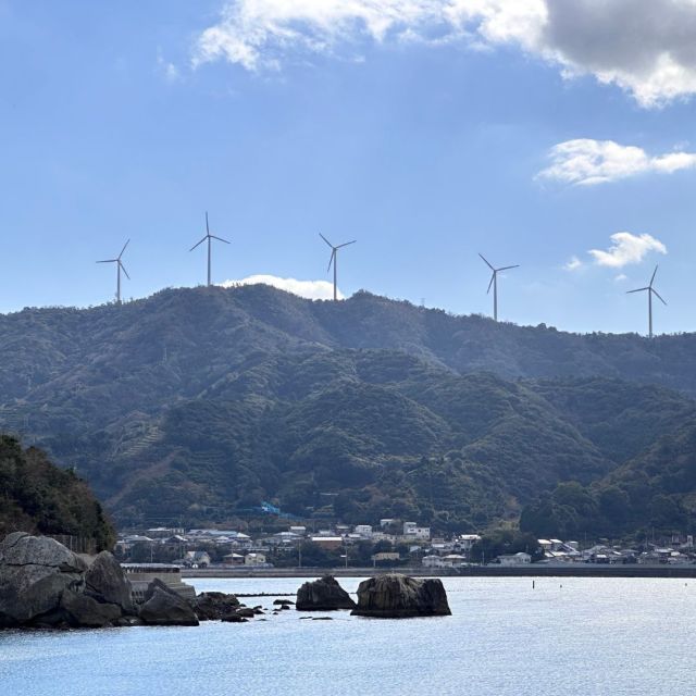 びゅーぼ

この風車が同時に全部まわってたら
何だかラッキーな事がありそう🤭

#和歌山 
#和歌山県広川町 
#遠浅で安心 の #西広海岸 の先
#樫長海岸 の前にある建物
#びゅーぼ 売ってます！